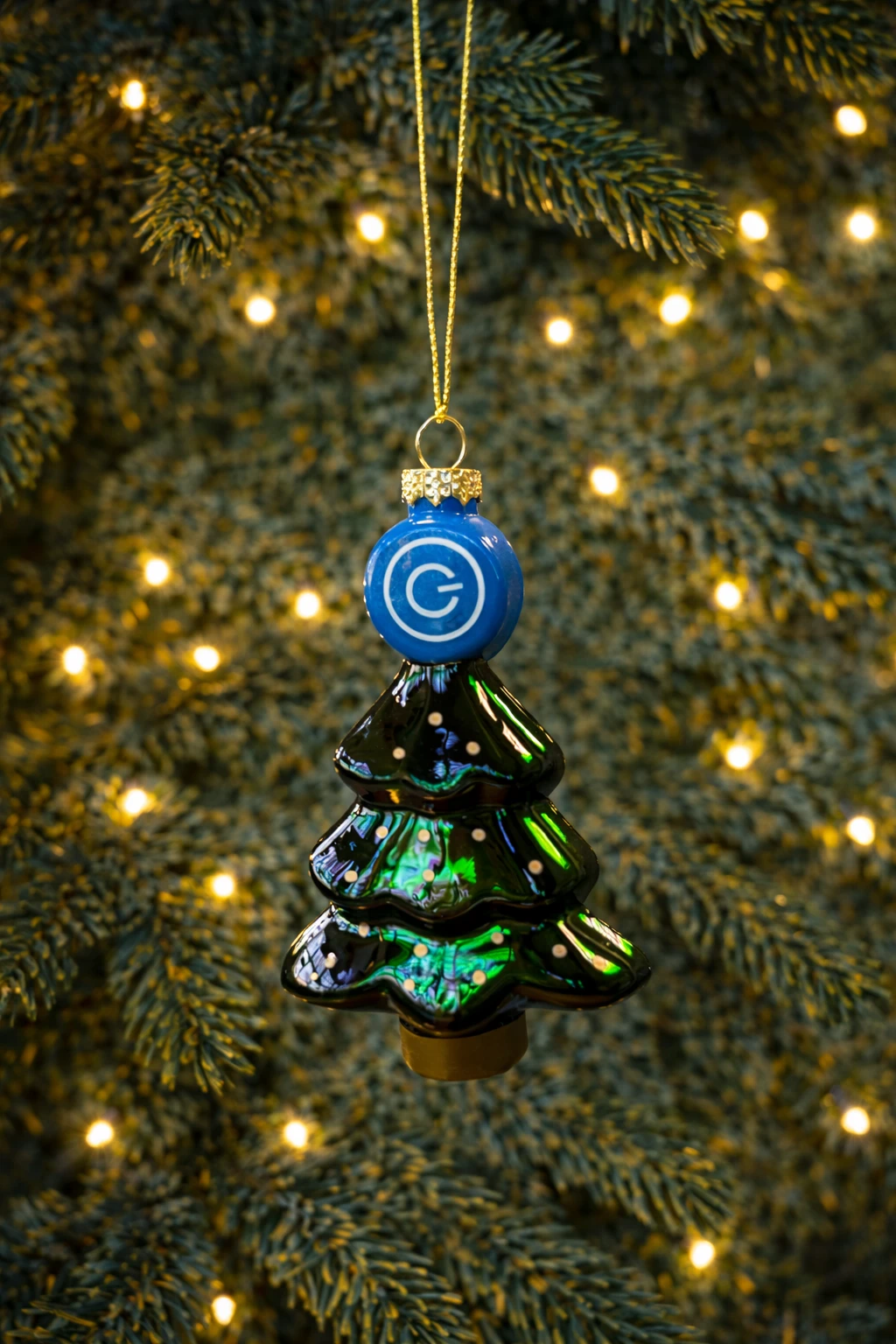 lease-van-gent-referentie